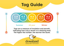 Load image into Gallery viewer, Downland Eco Comfort 10.5 Tog Duvet