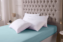 Load image into Gallery viewer, Anti Bacterial 4 Pillows
