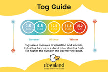 Load image into Gallery viewer, Anti Bacterial 13.5 Tog Duvet
