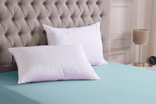 Load image into Gallery viewer, Anti Bacterial Pillow Pair
