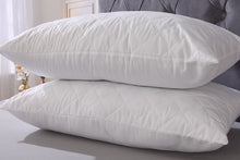 Load image into Gallery viewer, Dream Pillow
